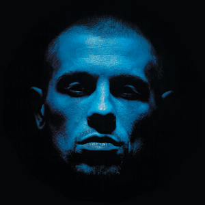 面县公社网页2版入口免费
