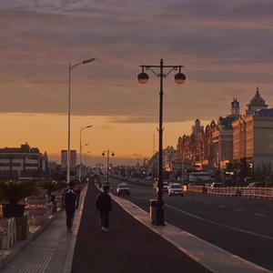 面县公社网页2版入口免费
